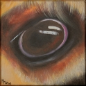 Augenblick einer Kuh; Acryl auf Leinwand;
30 x 30 cm